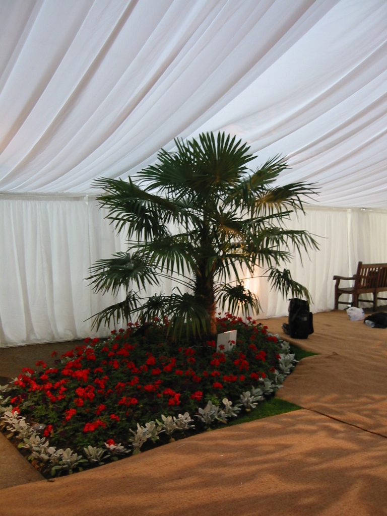 Frame Marquee Incorporating Garden Feature